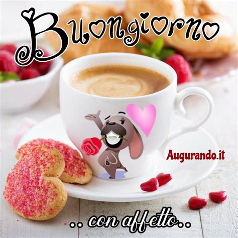 immagini buongiorno gratis per whatsapp